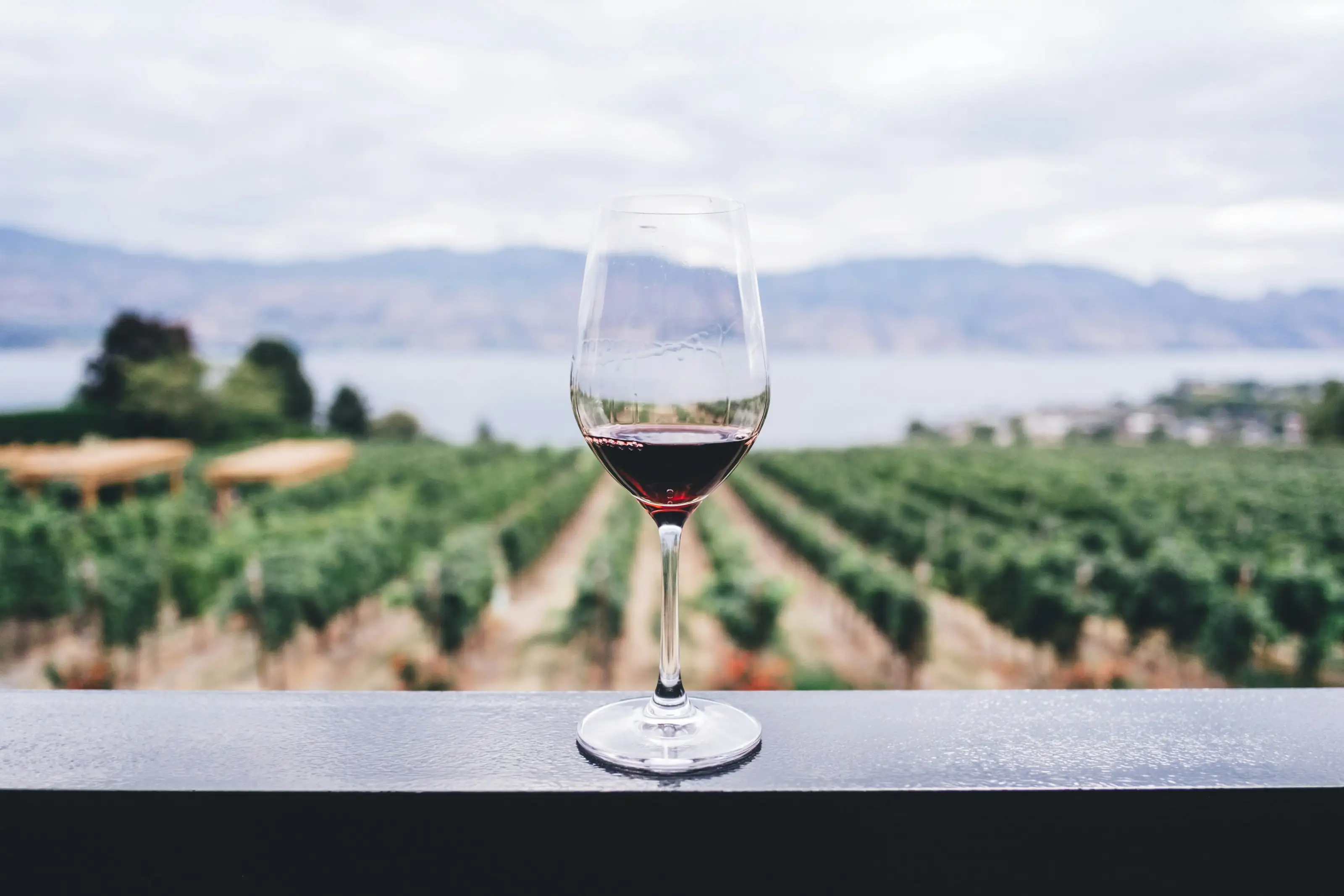 Ein Glas Rotwein vor dem Blick über Weinberge