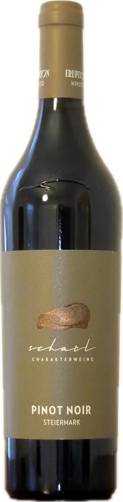 Flasche Scharl Pinot Noir 2023