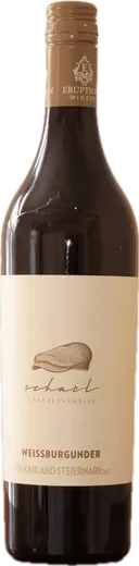 Flasche Scharl Weißburgunder 2024