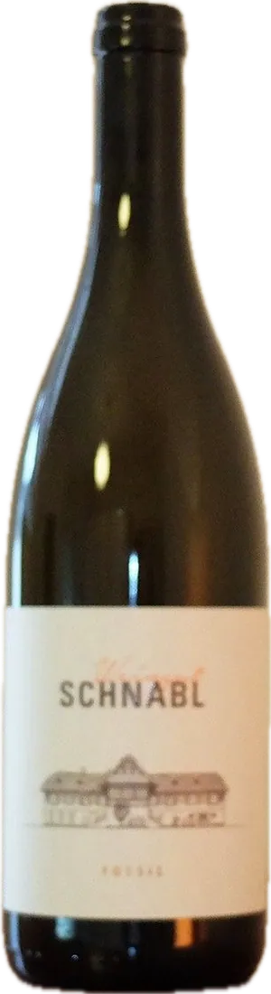 Flasche Schnabl Fossil 19
